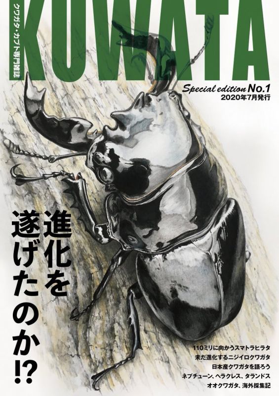 新刊KUWATA~Special edition No.1~