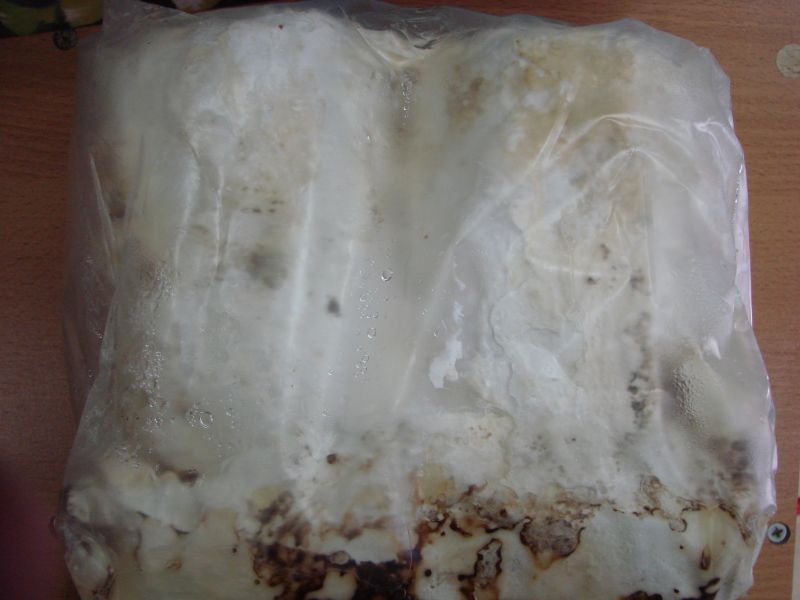 画像1: カワラ植菌材